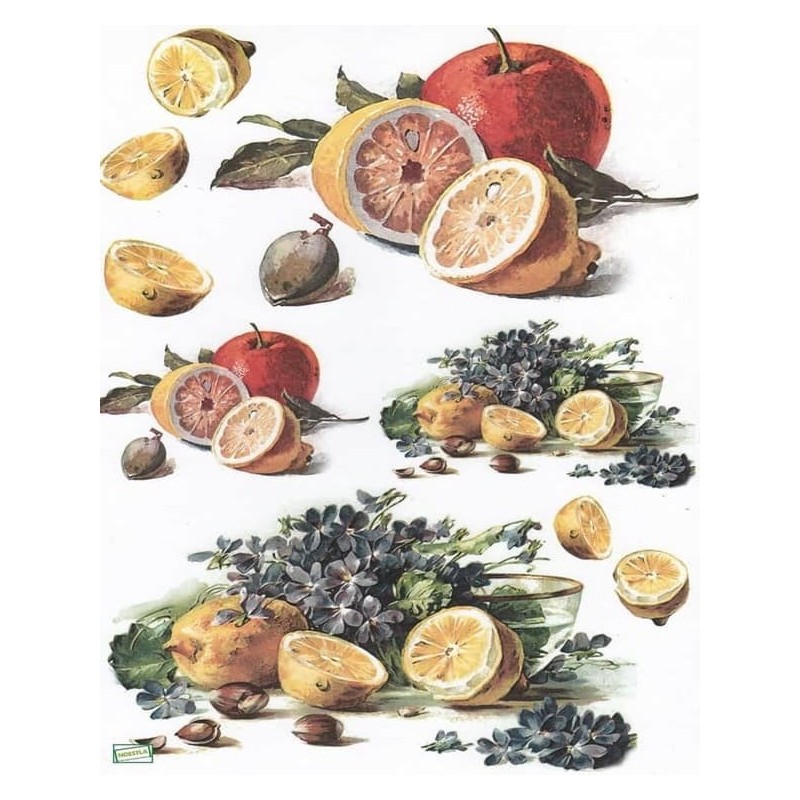 1papier découpage Fruits-T1M