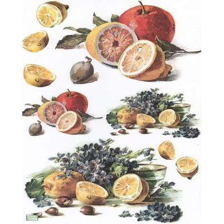 1papier découpage Fruits-T1M