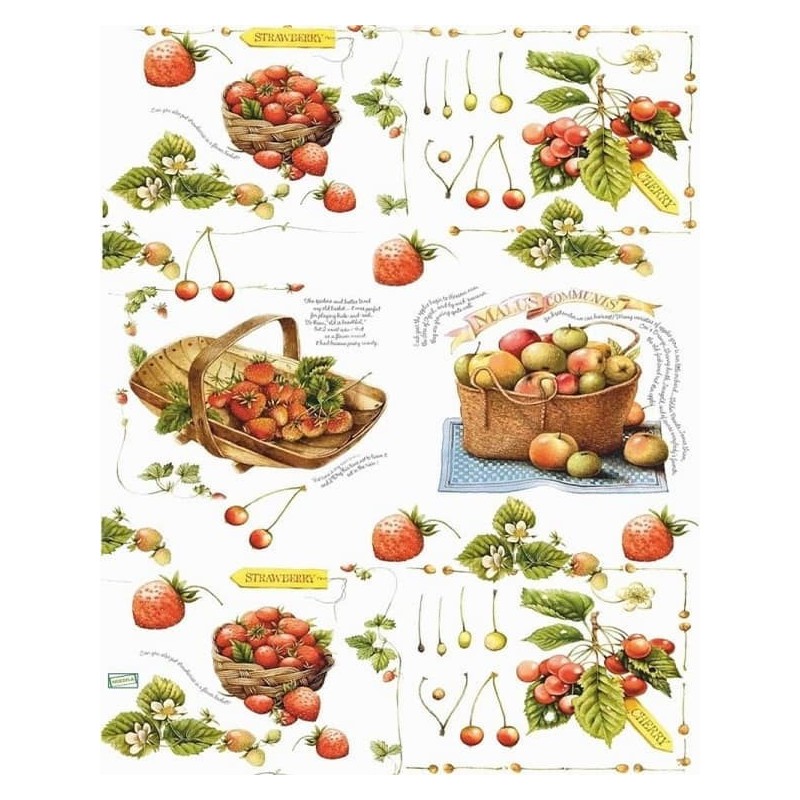 1papier découpage Fraises-VE18
