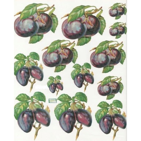 1papier découpage Les Prunes-X1