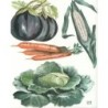 1papier découpage Légumes-X15
