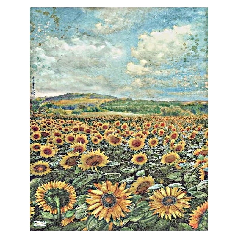 1papier de riz Paysage-STA7