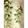 1 papier riz Les Citrons-R1193