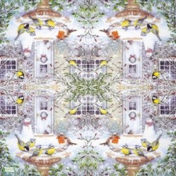 1serviette papier Oiseaux-113