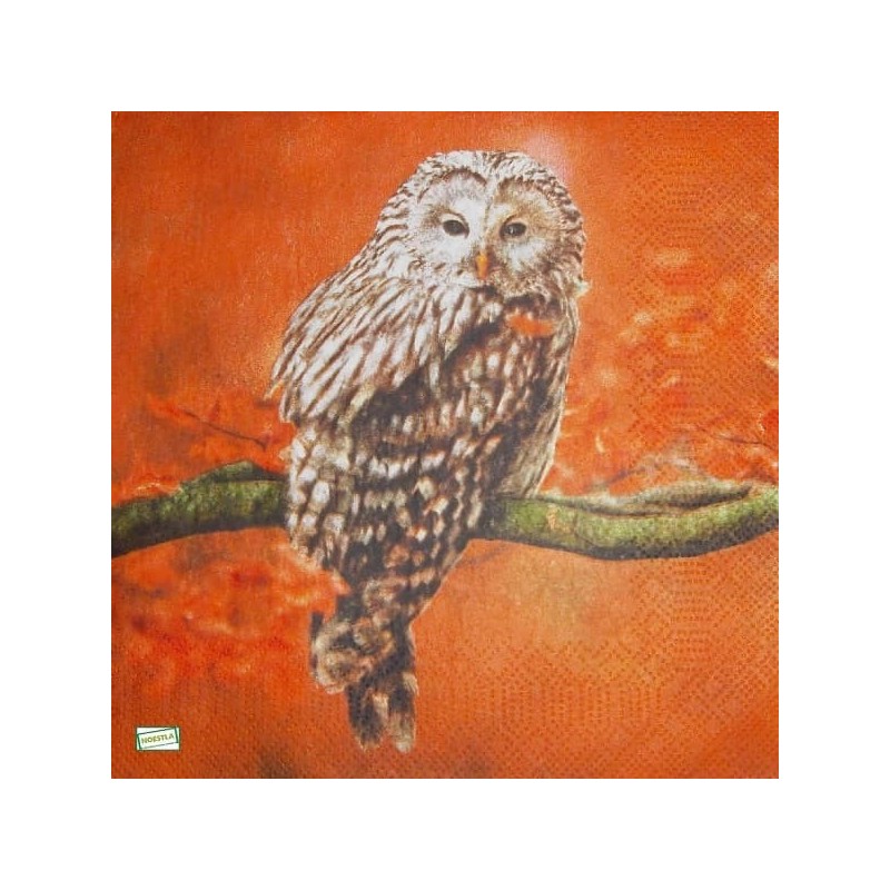 1 serviette La chouette -142