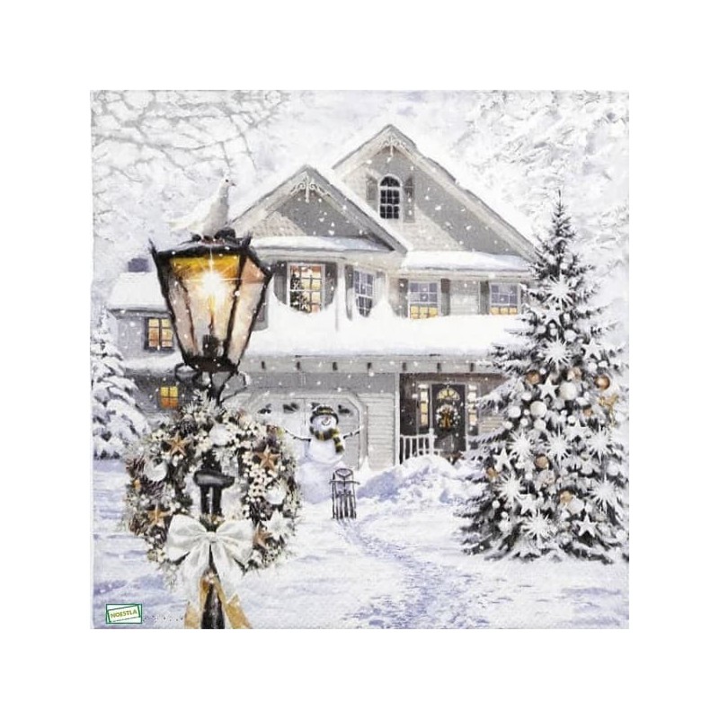 1serviette Paysage Enneigé-31