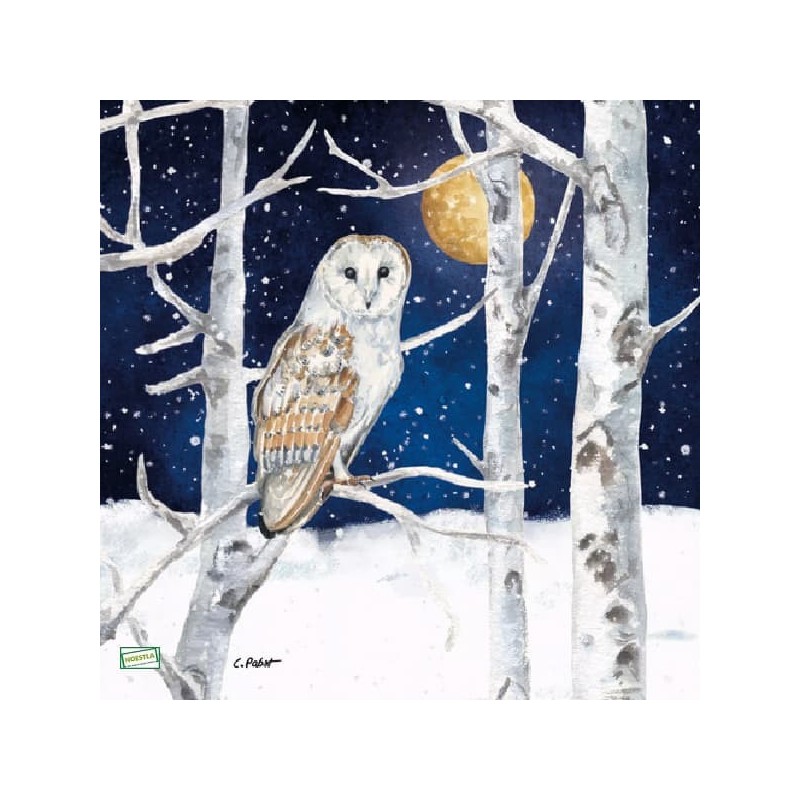 1 serviette La chouette -148