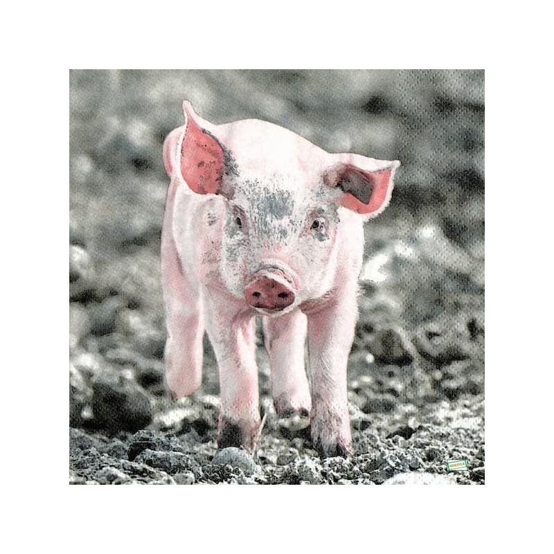 1serviette papier Cochon-65