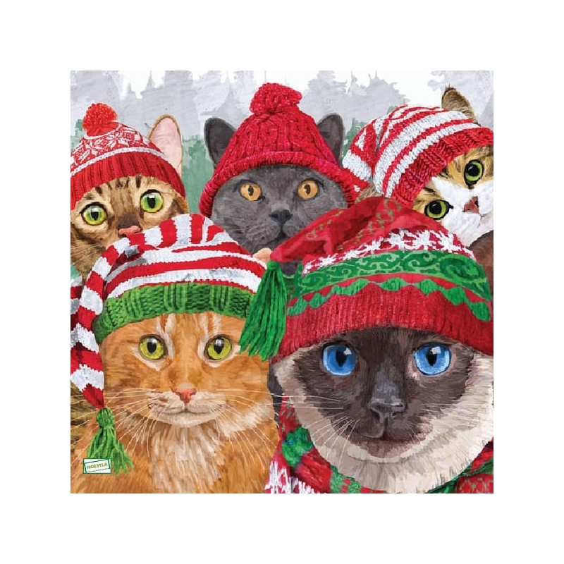 1serviette papier Chats-54