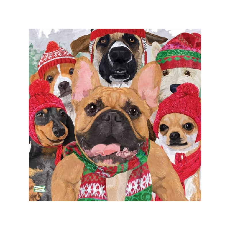 1serviette papier Chiens-50