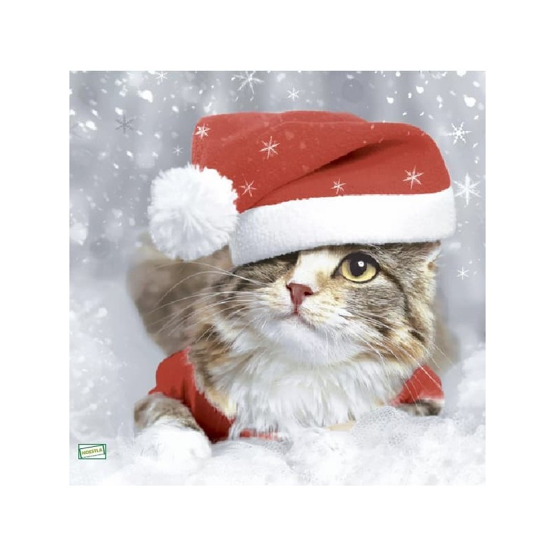 1serviette papier Chat-58