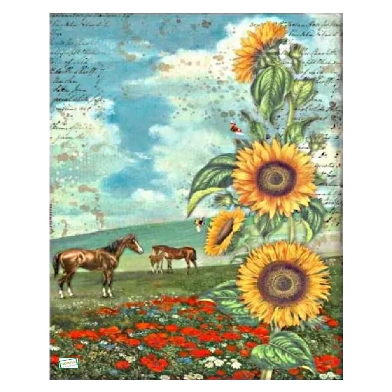 1 papier de riz Chevaux-STA2