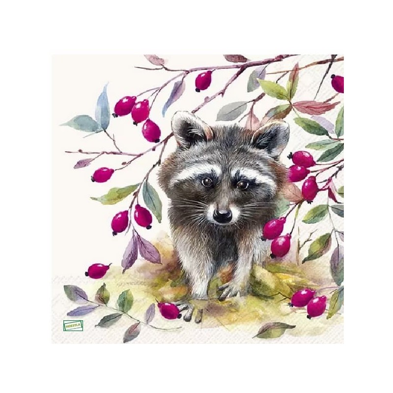 1serviette Le Raton Laveur-23