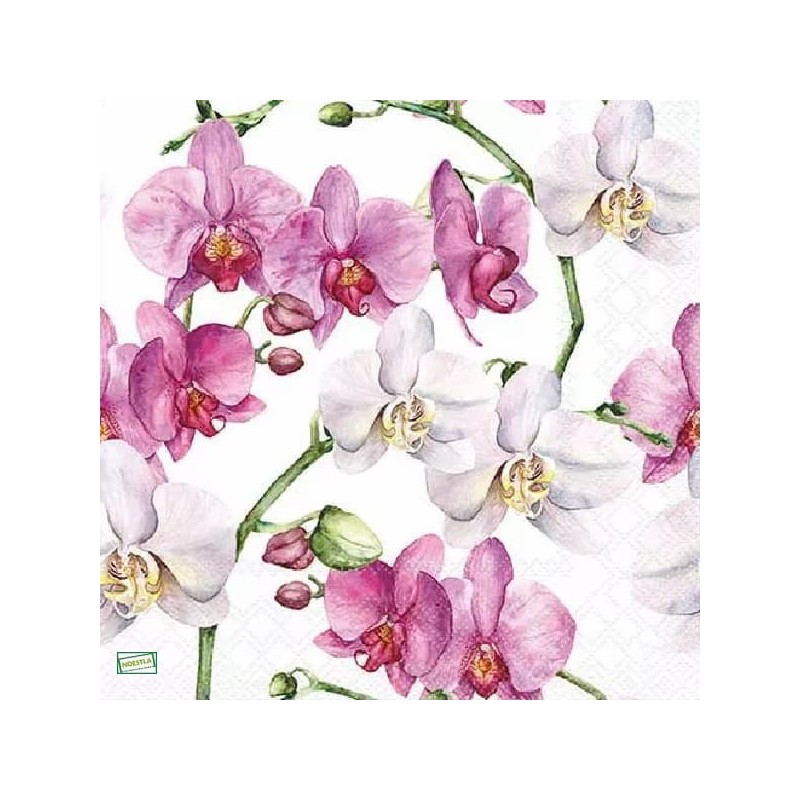 1serviette papier Orchidés-17