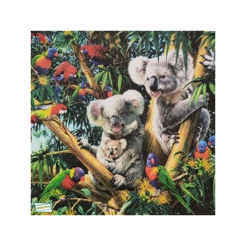 1serviette papier Koalas-22