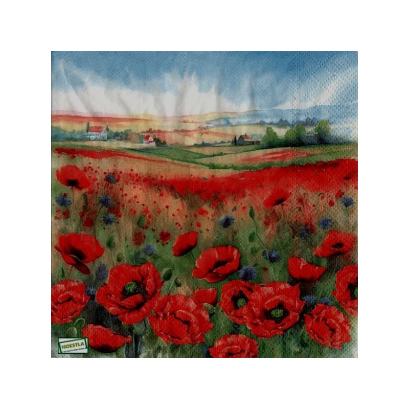 1 serviette papier Nature -22