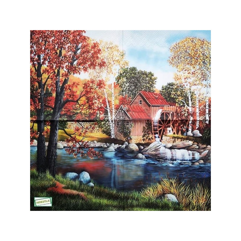 1 serviette papier Nature -5