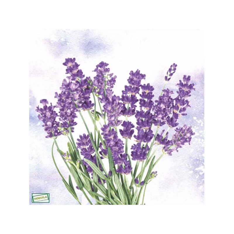 1 serviette papier Lavande -56