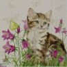 1serviette papier Chat-61