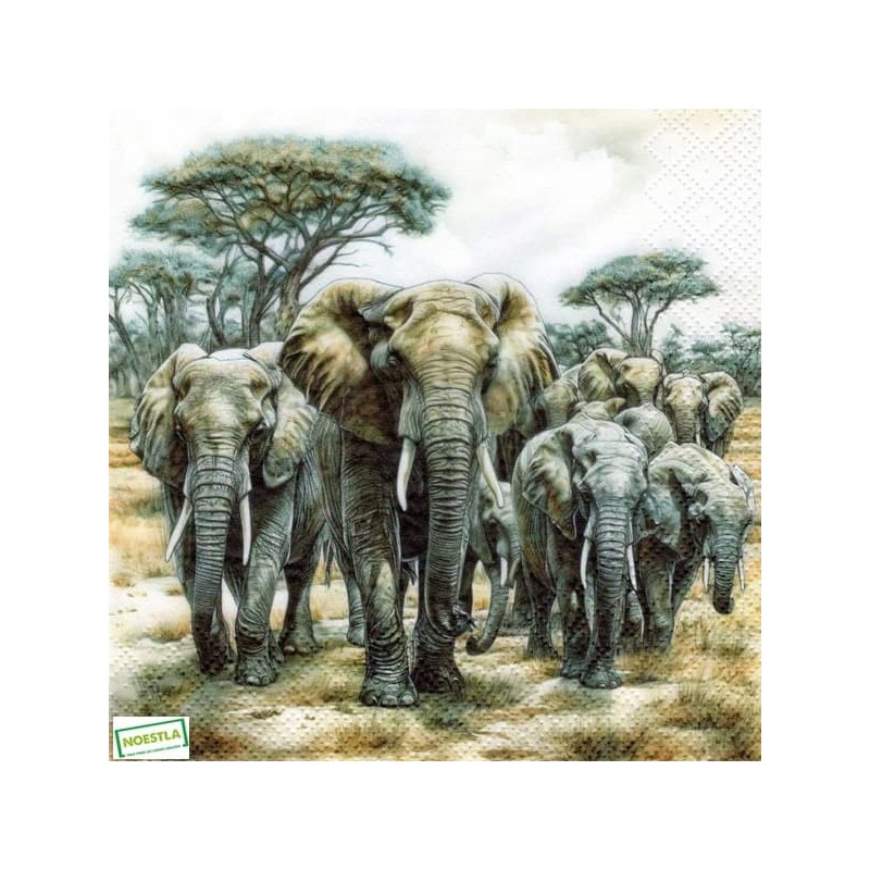 1serviette Les Eléphants-60