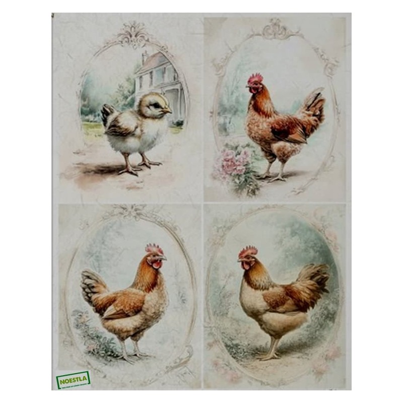 1papier de riz Oiseaux-R2563