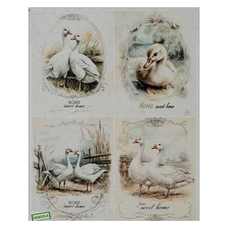 1papier de riz Oiseaux-R2565