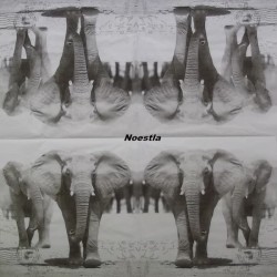 1serviette papier Eléphants-8