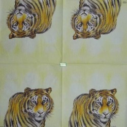 1serviette papier Tigre-13