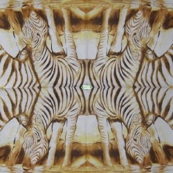 1serviette papier Zèbres-43