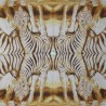 1serviette papier Zèbres-43