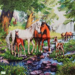 1serviette papier Chevaux-66