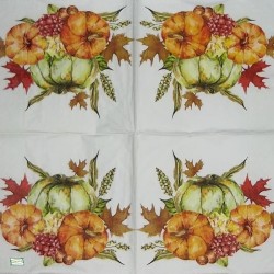 1serviette Les Potimarrons-13