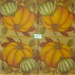 1serviette Les Potimarrons-18