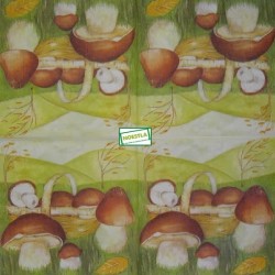 1serviette Les Champignons-19