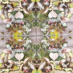 1serviette Les Champignons-34