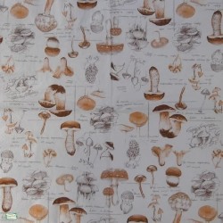 1serviette Les Champignons-53
