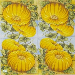 1 serviette Les Potimarrons-82