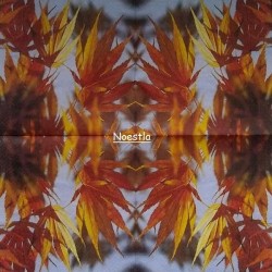 1serviette papier Feuillage-15