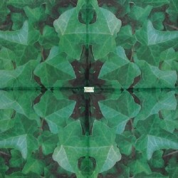 1serviette papier Lierre-5