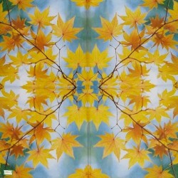 1serviette papier Feuillage-35