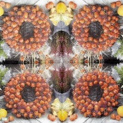 1serviette papier Feuillage-39