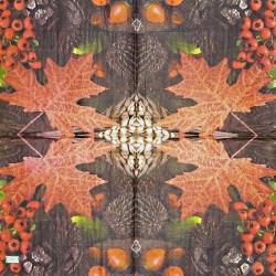 1serviette papier Feuillage-50