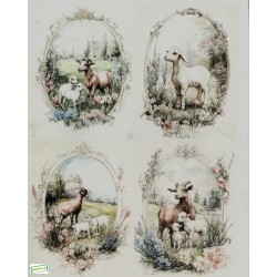 1papier riz Les Chèvres-R2571