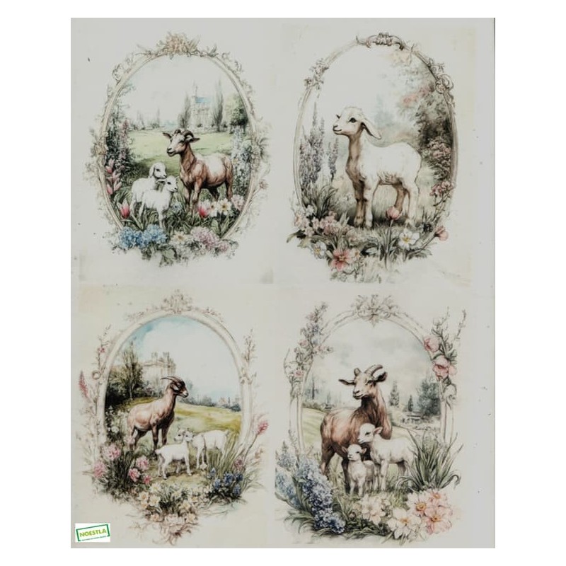 1papier riz Les Chèvres-R2571