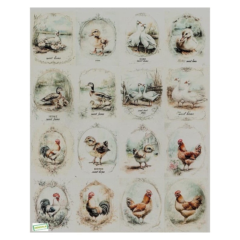 1papier de riz Oiseaux-R2574