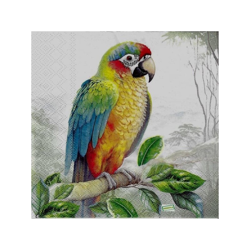 1serviette papier Perroquet-35