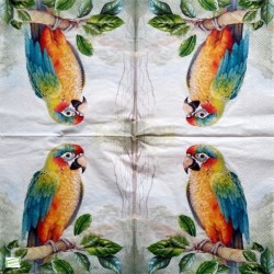 1serviette papier Perroquet-35