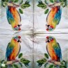 1serviette papier Perroquet-35