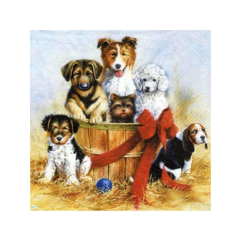 1serviette papier Chiens-69