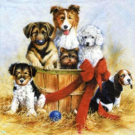 1serviette papier Chiens-69